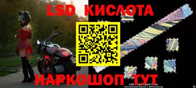 ГАЛЛЮЦИНОГЕННЫЕ ГРИБЫ Коммунар