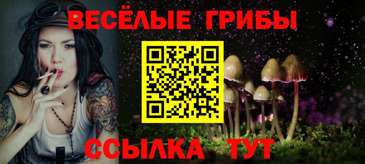 Галлюциногенные грибы прущие грибы Верхняя Салда