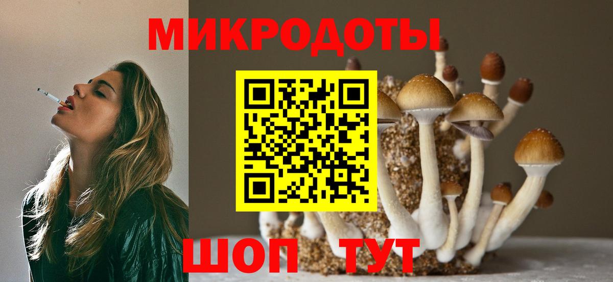 Псилоцибиновые грибы Psilocybine cubensis  Вход с VPN  Верхняя Салда 